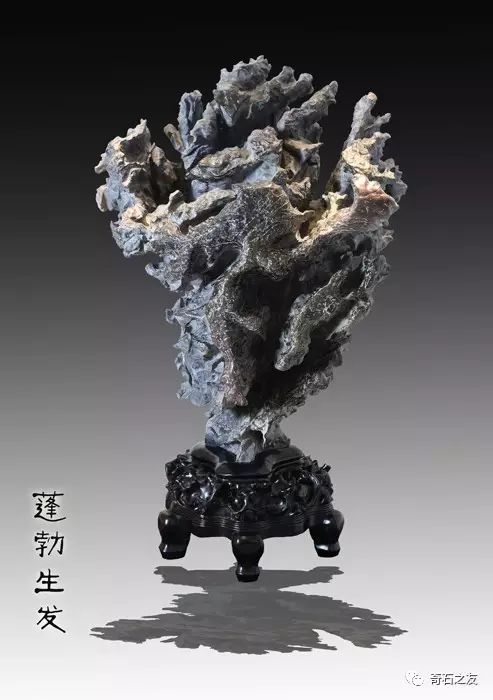 日本的奇石很火,因为他们有12种经营模式,值得借鉴