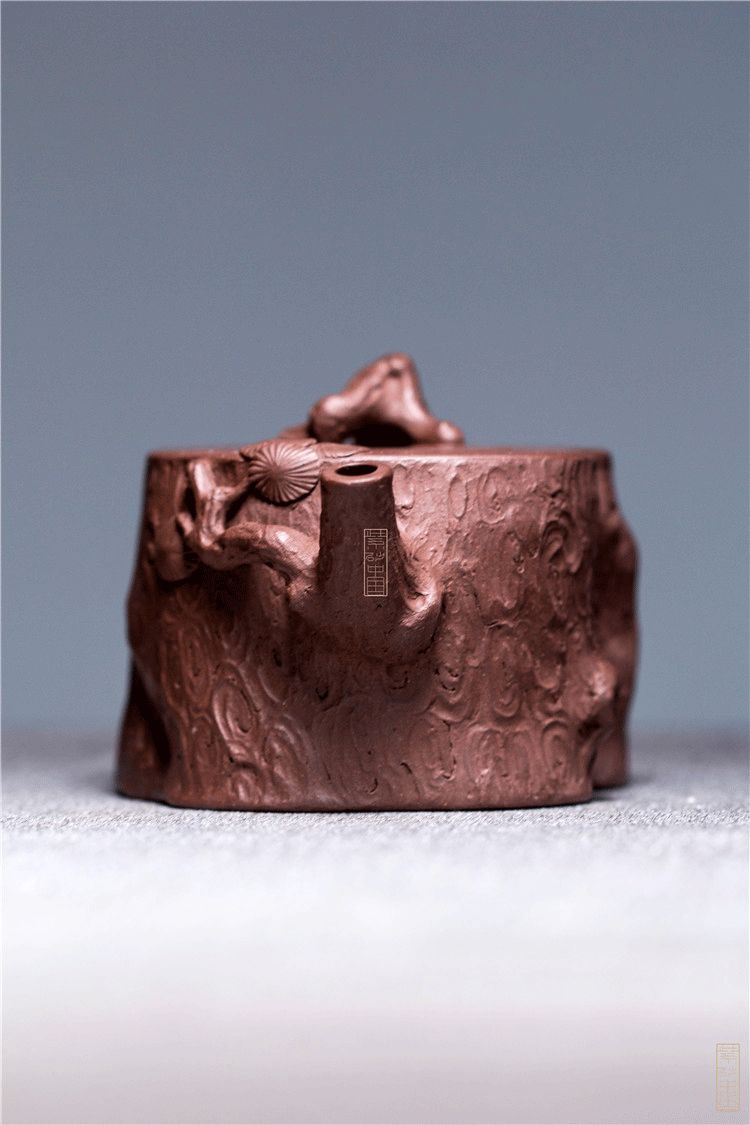 观虬松范治斌