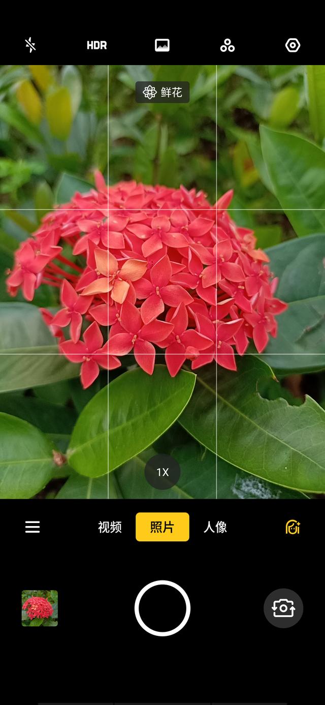 oppo a9x拍照体验:中端机的定位,旗舰级的拍照体验_照片