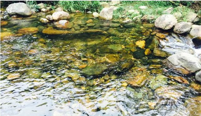 幽静小溪出发彩虹岭溯溪吃过大盘鱼据说大磁盘都是来自名瓷之乡景德镇