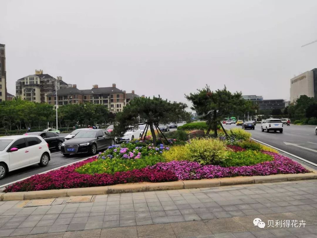 道路分流岛花境道路中央绿化带