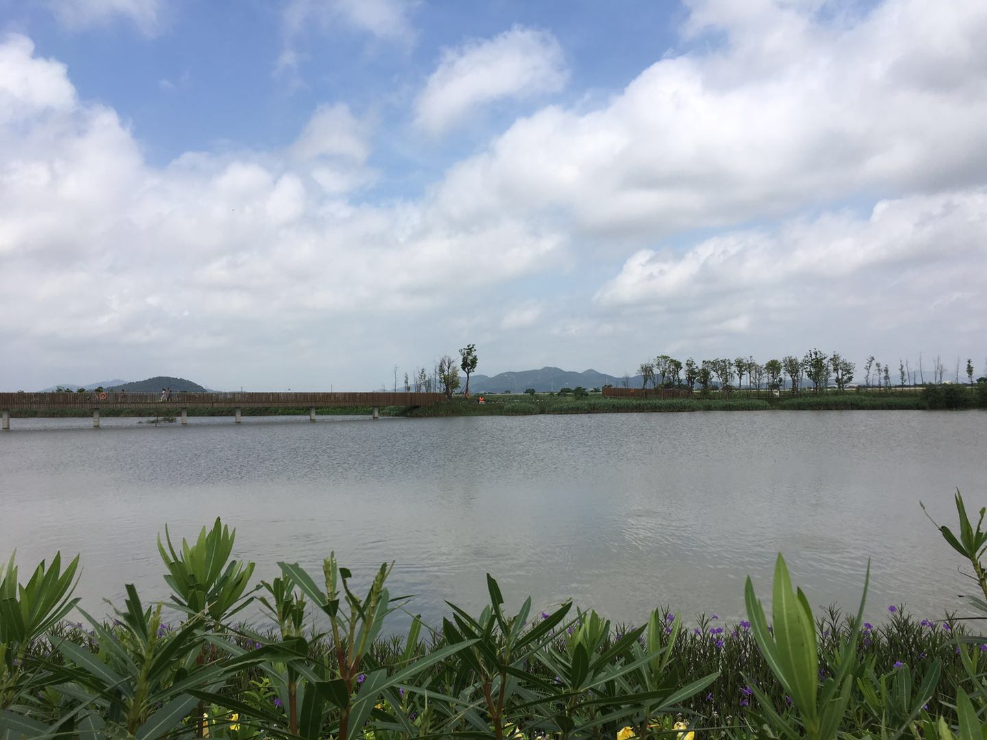 超美珠海三灶大门口湿地公园