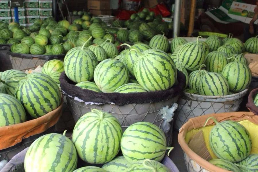 来常熟王庄尝一口西瓜味的夏天