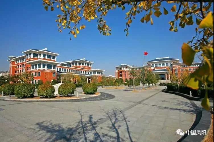 凤阳中学高考再创新辉煌,再刷新纪录,实现四连增!