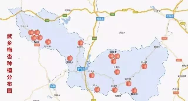 【福利】武乡梅杏,一枚有故事的甜杏