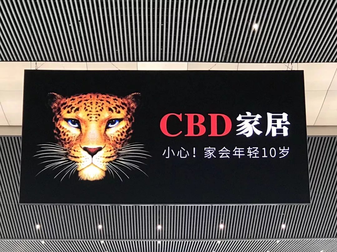 cbd家居广告豹子图片