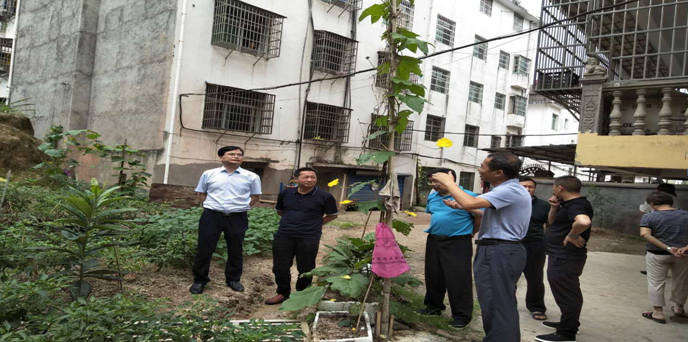 上午检查组在县政府党组成员曾凤辉陪同下,深入鳌溪桥背村十八庙排,代