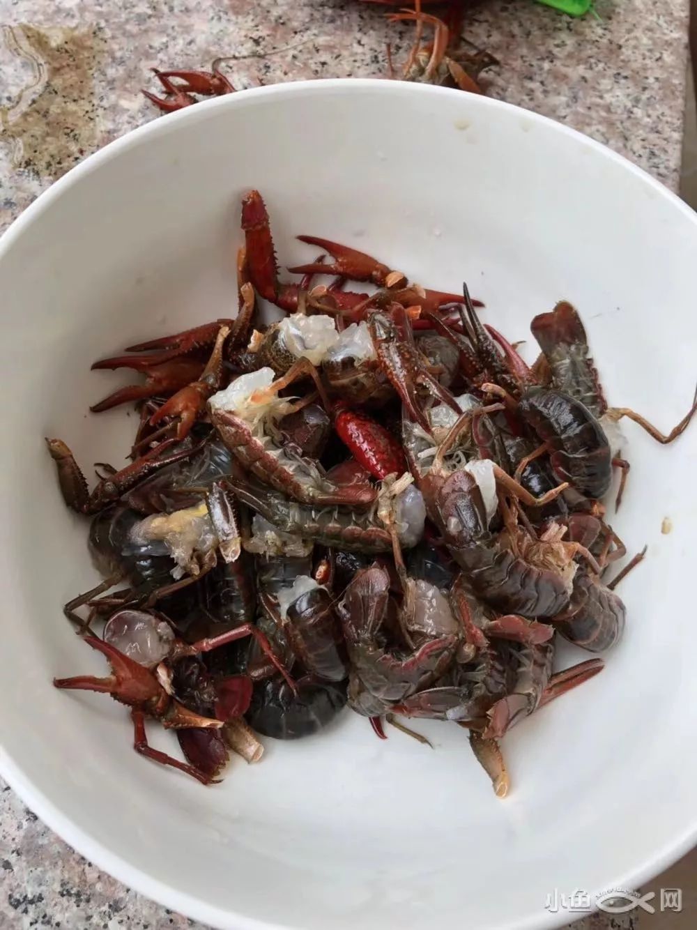 全网通缉女子深夜街头遭男子凶残踢打撕扯衣服拖拽气得令人发抖警方