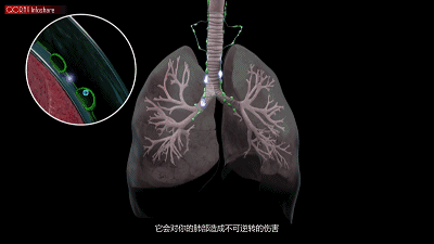 吸烟的肺图片gif图片