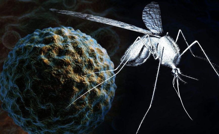 被携带登革热病毒的文字叮咬后,患者出现的症状很像流感.