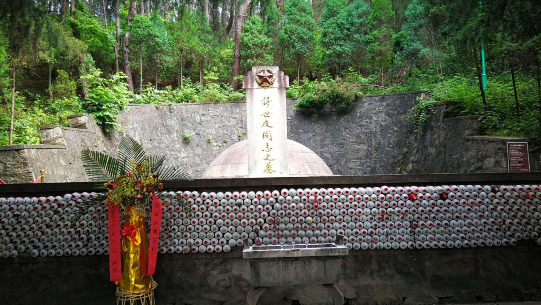 穿过将军兰和杜鹃花海,来到了将军墓前,碑的背面为纵行书写的行楷小字
