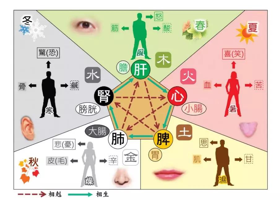 七情过激伤五脏 知晓这些 让你少得病！-搜狐大视野-搜狐新闻