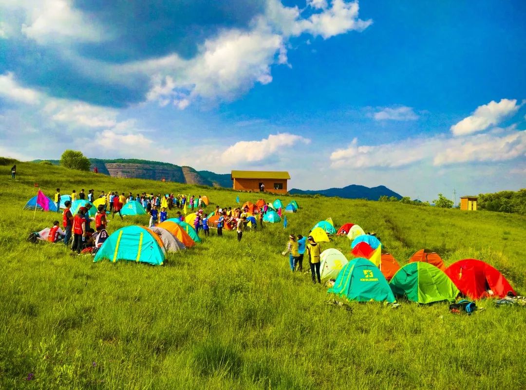 照金牧场进入最佳观赏期