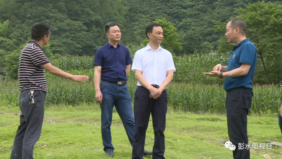 攻坚工作巡河工作石强深入郁江芦塘段开展巡河工作6月20日,县委副书记