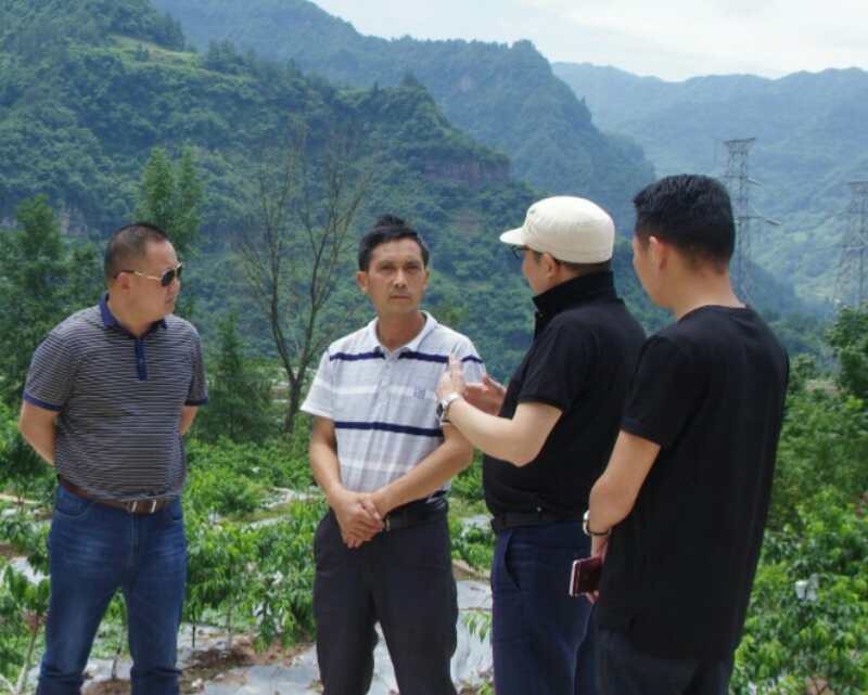 重庆市石柱县悦崃镇黄花丰收节暨特色乡村旅游文化节即将盛大启幕