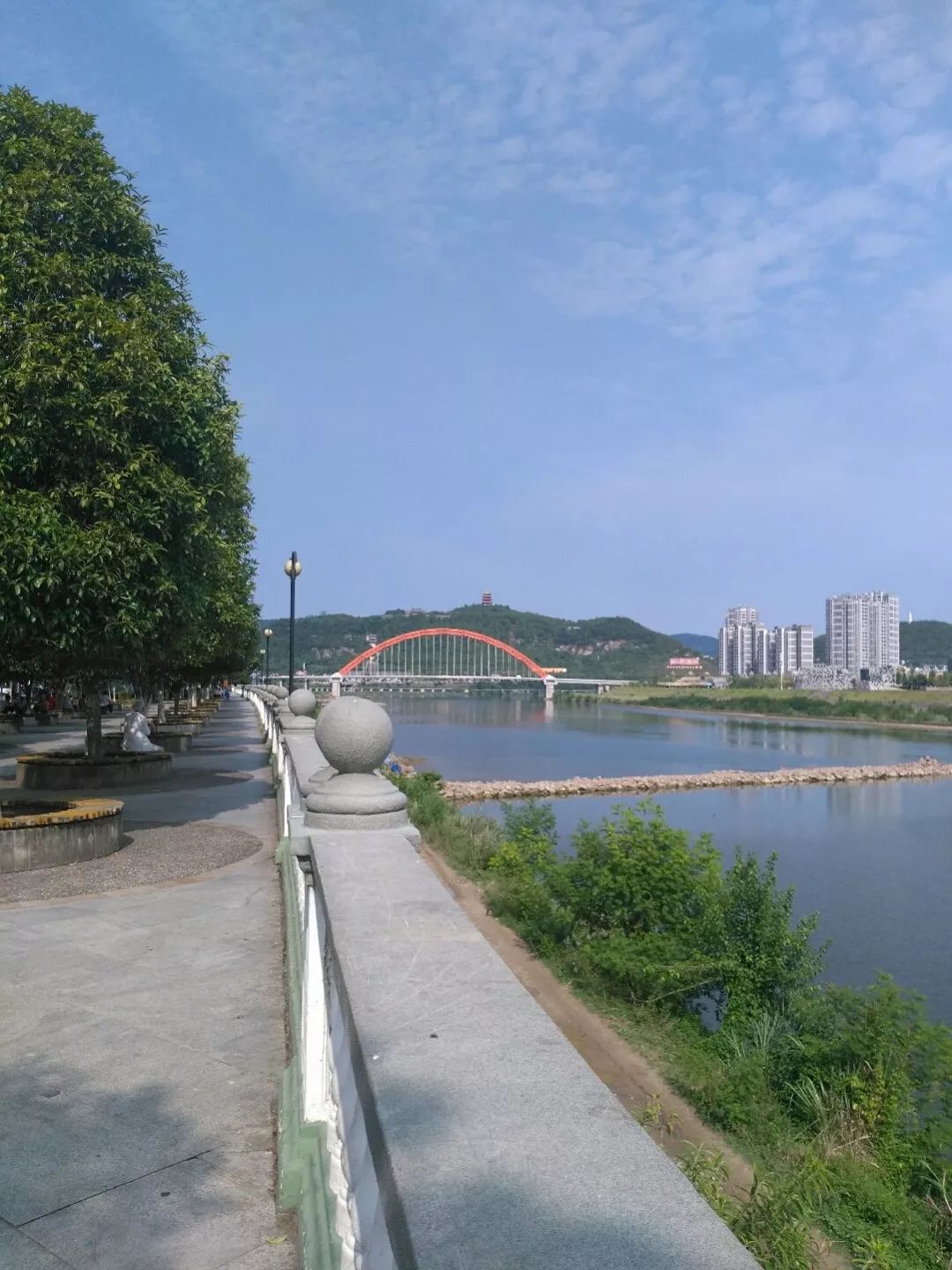 苍溪提前录取这封来自苍溪的录取通知书向全世界发出邀请