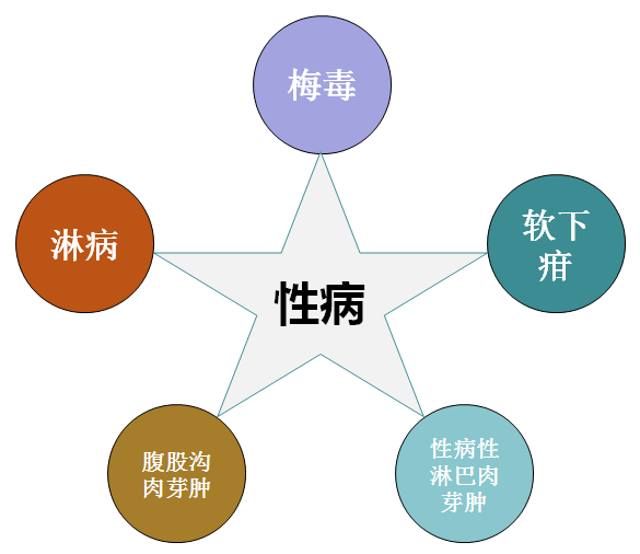 「小白科普」常常与艾滋同步感染的「性病家族」