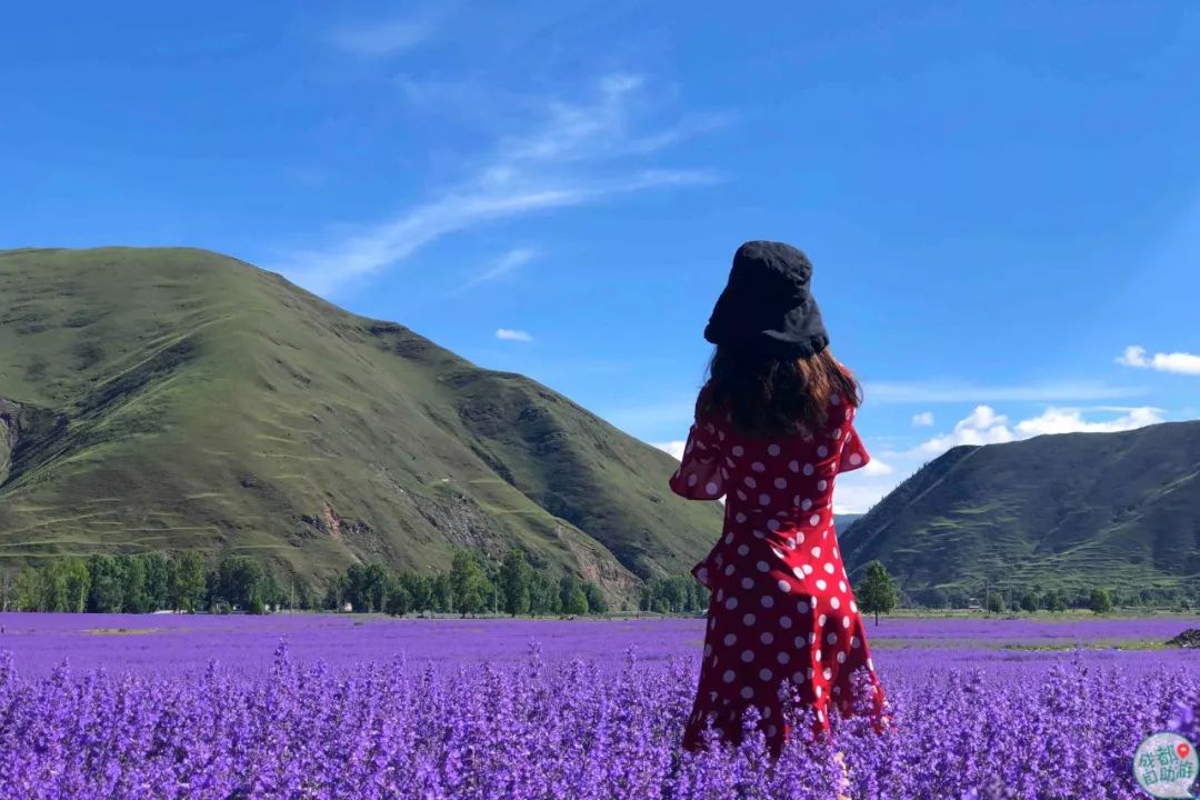 裙裙,"被迫"当起了我的模特,转圈,扔帽子,随便拍个背影就刷爆了朋友圈