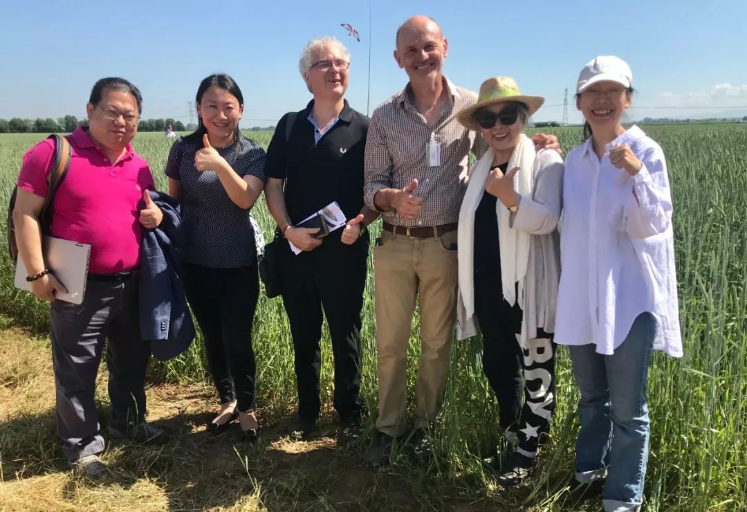 有机巾帼会嘉宾朱安妮中国有机农业精神的践行者
