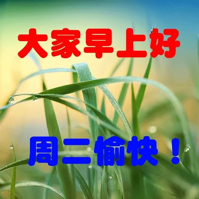 早上好图片问候猪年早上好表情祝福句子
