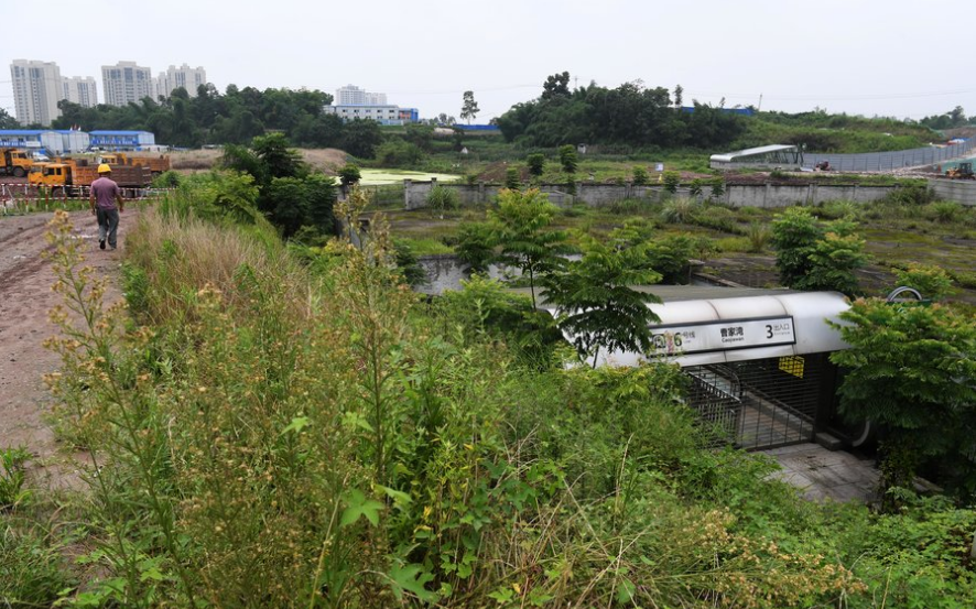 重庆一地铁站被吐槽全国最荒凉,出入口被野草淹没,如身处荒郊_曹家湾