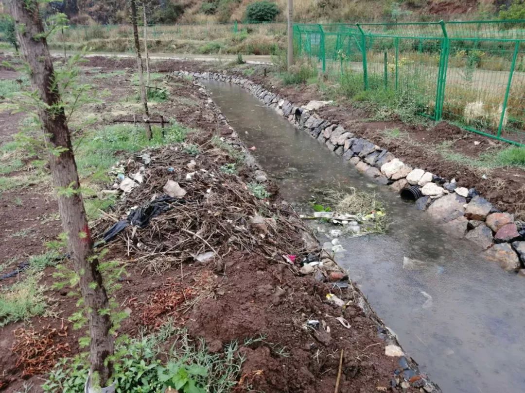 初期雨水防控和处置情况速报三