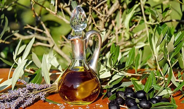 诺资讯丨跨越千年文明的长寿之树油橄榄