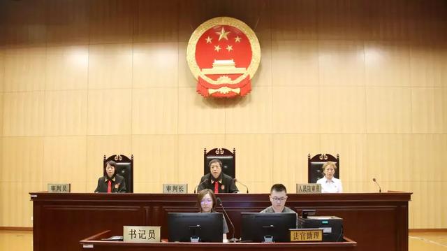 北京二中院院长鲁桂华开庭审理人体藏毒运输毒品案并当庭宣判