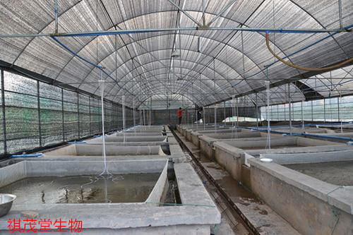 虾池建设必须兼顾经济,实用,安全和操作方便等因素.