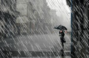 下的小悦悦灵魂都湿了持续不断的雨老天爷整整一周都是阴沉脸