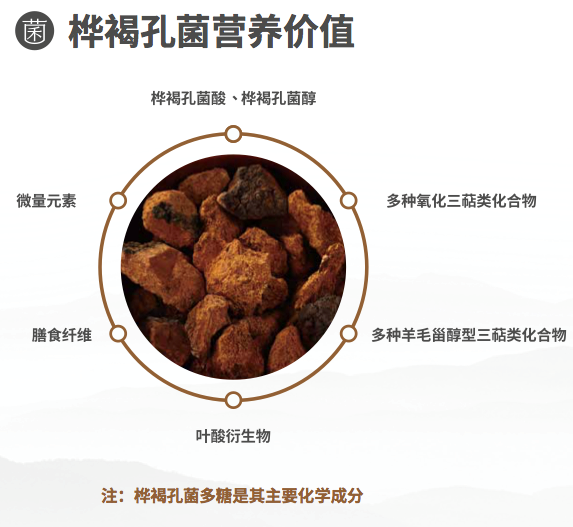 大医菌方桦褐孔菌的正确吃法
