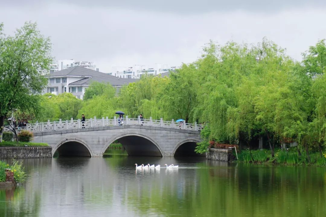 雙鏡湖,二分橋桃花島,暢思園圖文大樓,湖畔餐廳你猜我的心臟在哪邊?