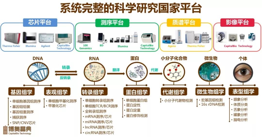 微重複無創產前基因檢測依託新一代高通量基因測序平臺,通過