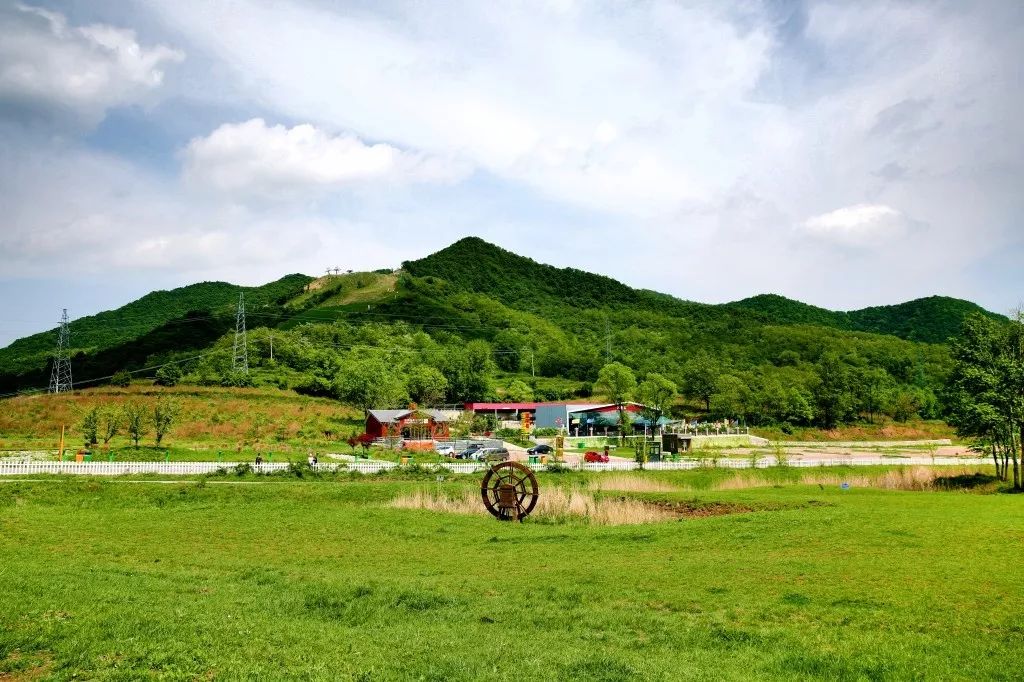 仲夏时节的照金牧场丨赵博轩