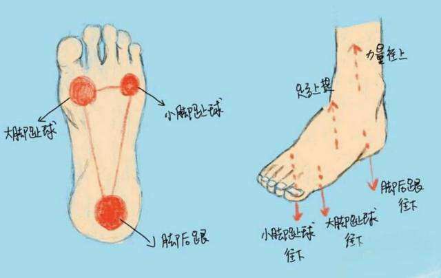 个点组成了一个稳固的三角形,当这3个点用力的向下踩,足弓上提的时候
