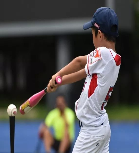 2019年市体彩杯棒球少年儿童锦标赛圆满落幕