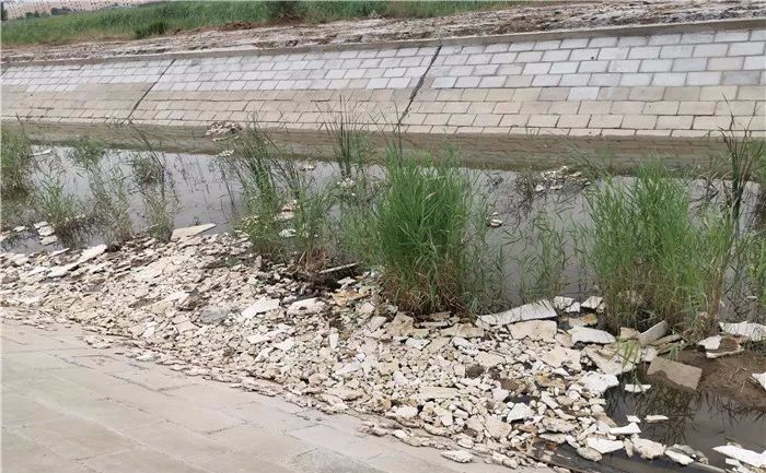 利津一河沟河面漂浮大量垃圾,河水发臭!