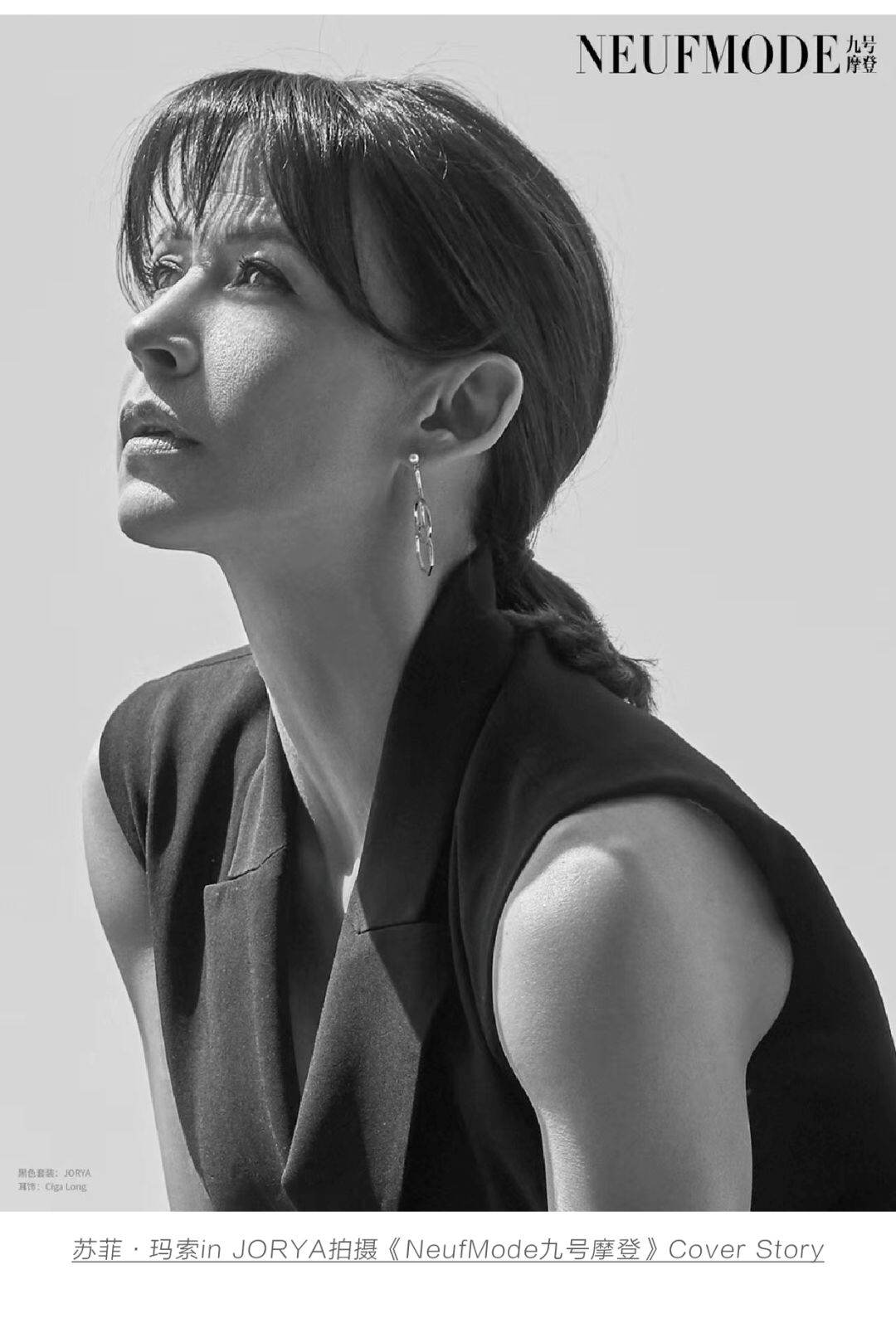 苏菲61玛索lbonjour法兰西传奇玫瑰