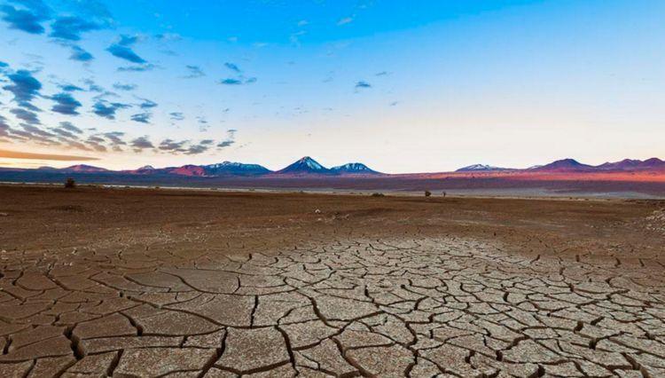 全球最干燥的地区:400年未曾下雨,"花海"却在这里大片盛开!