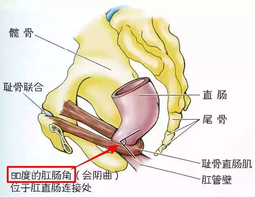 这个谜之尴尬的问题,现在有答案啦