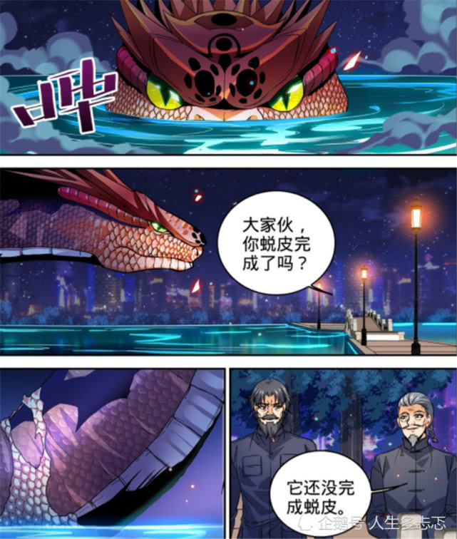 全职法师:女神上当成刽子手,神兽遭遇大危机,莫凡差点气晕_玄蛇