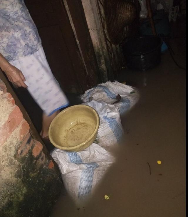 郑达再次狠批督促相关部门尽快完成茂名市茂南区羊角煤矿的棚户改造