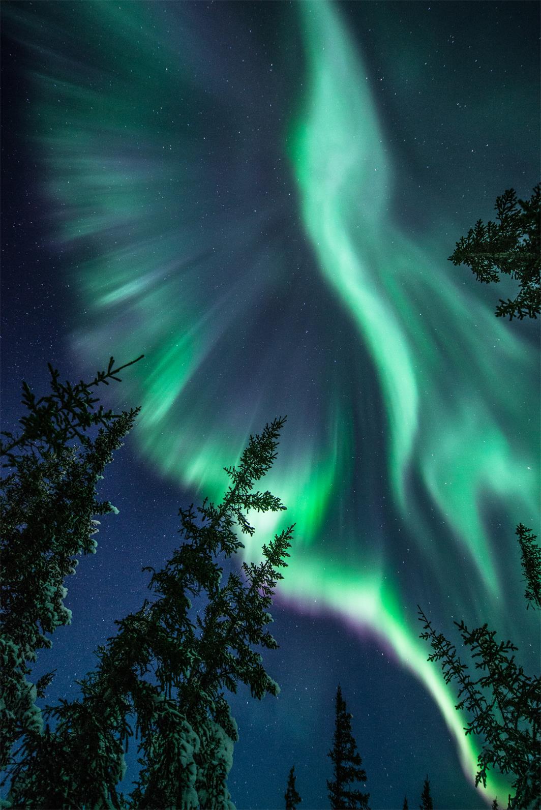 超适合看北极光的地方,位于加拿大马尼托巴省