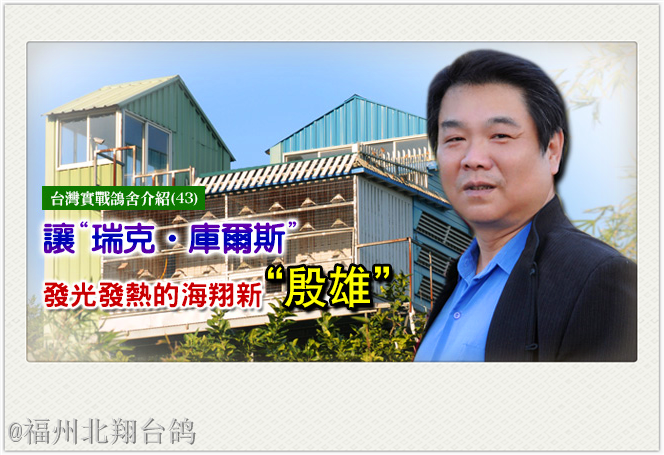 35年基礎種鴿:60對全舍共約:200羽基礎種鴿:瑞克64庫爾斯,馬太依斯