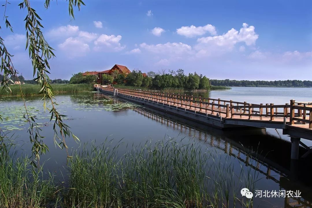 是国家aaaa级旅游景区,华北平原第二大淡水湖,位于河北省衡水,冀州
