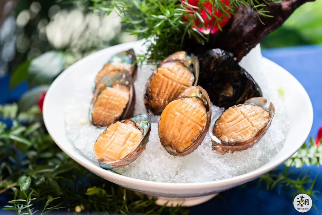 相伴成都人17年的鲍鱼火锅够资格就免单