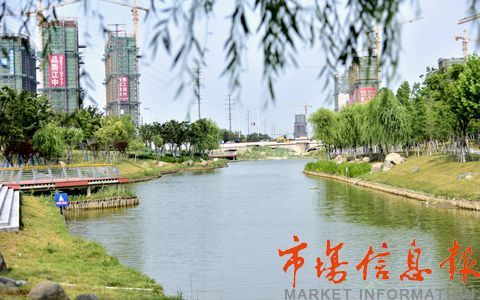 江蘇如皋: 生態廊道 水清岸綠_龍游河