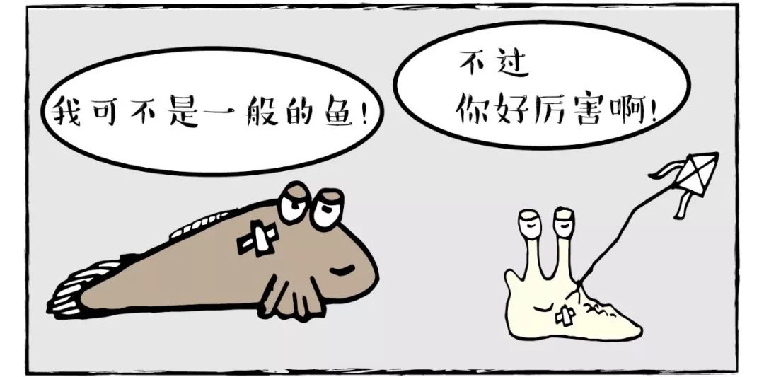 【转载】神奇的弹涂鱼|红树慢漫画