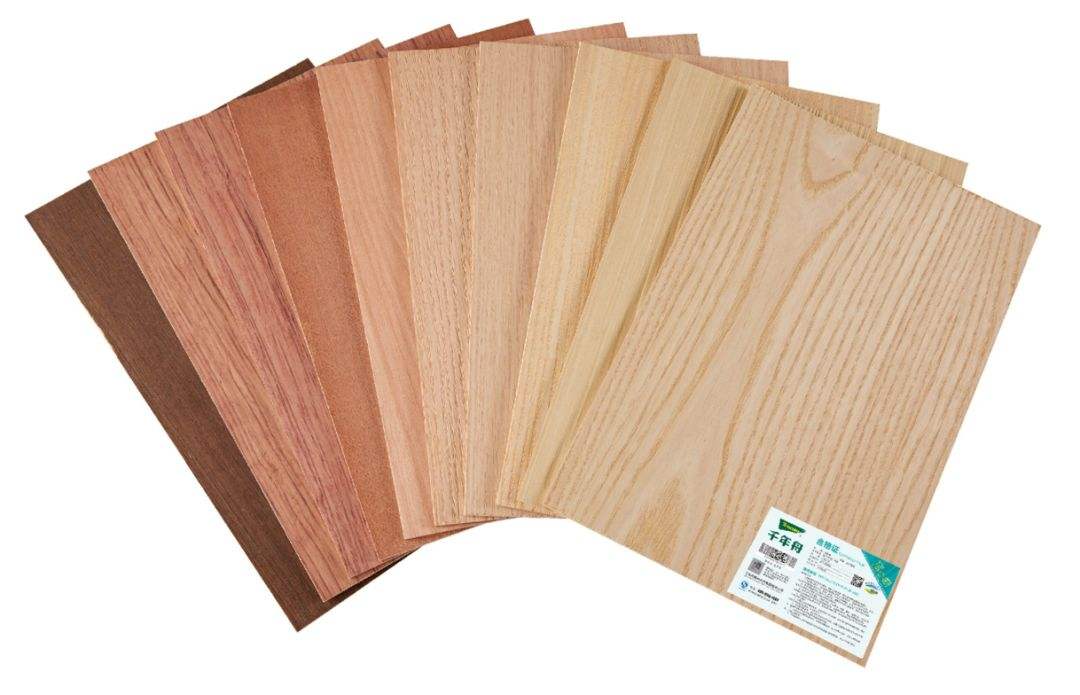 如何选择千年舟板材厂家