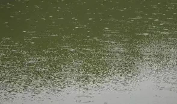小雨点落在池塘里图片